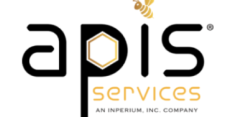 APIS Servcies Logo